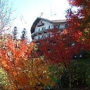 Hotel das Hortênsias